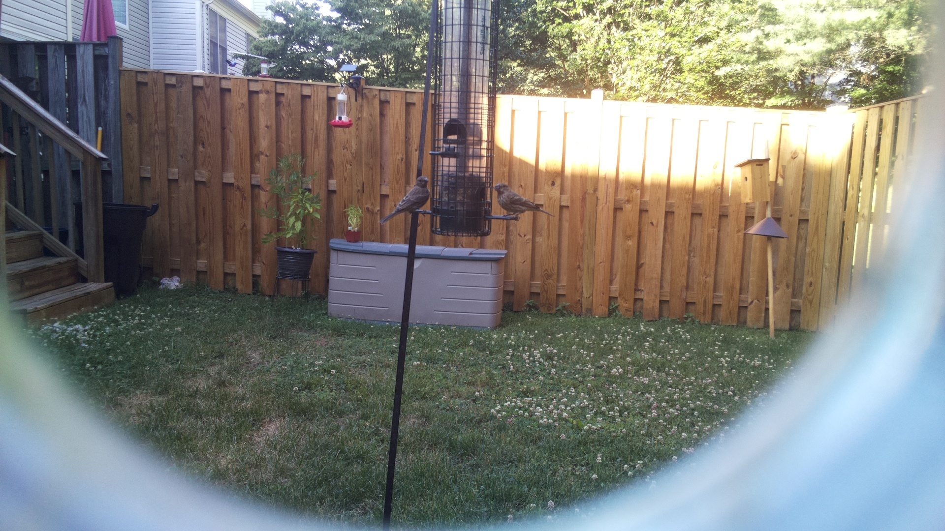 2026-06-17