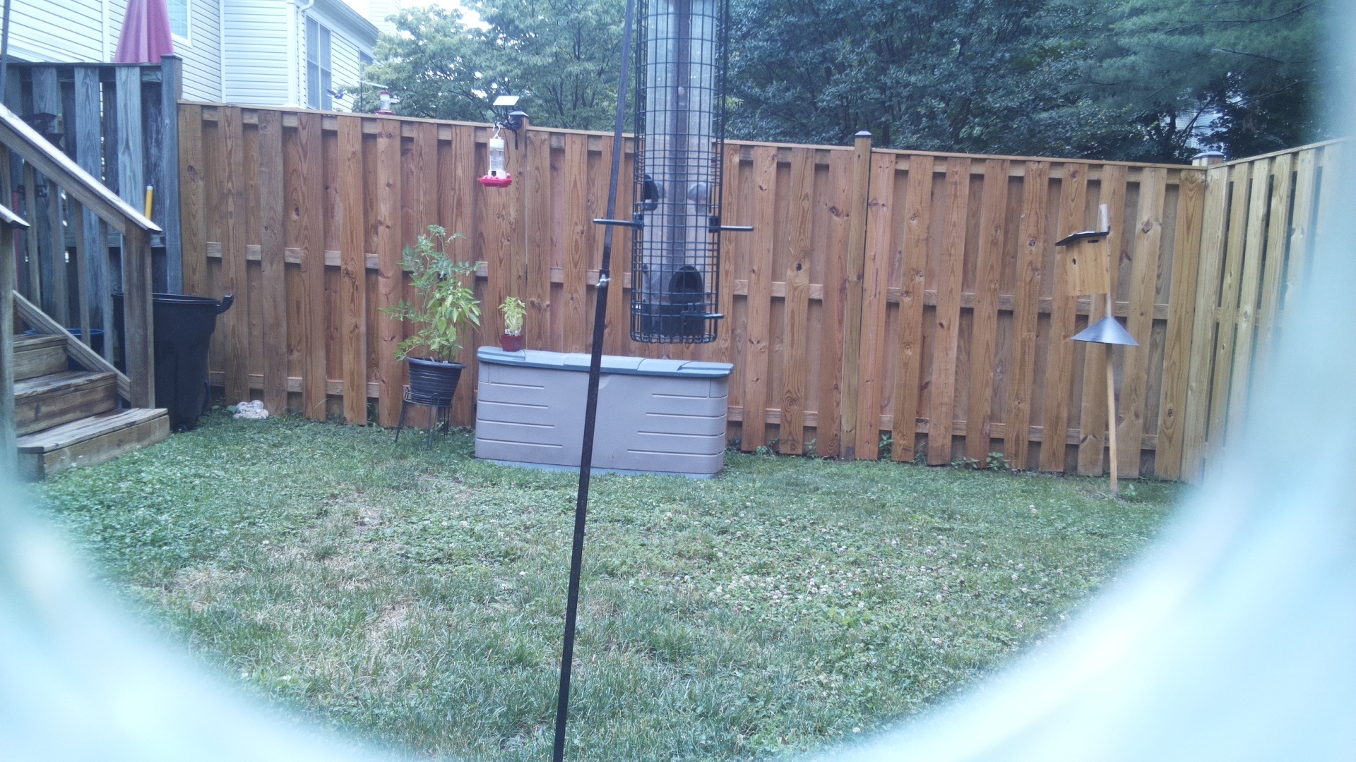 Unknown Bird
