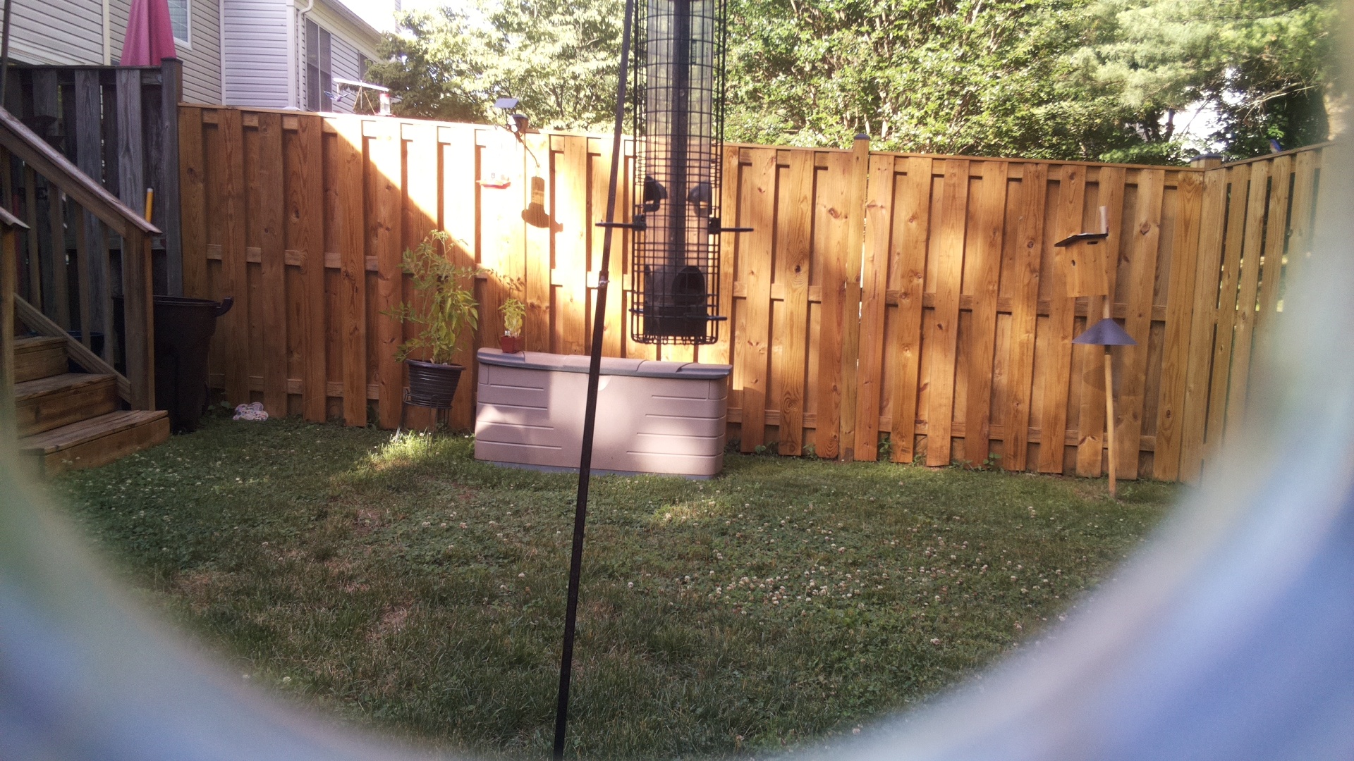 Unknown Bird