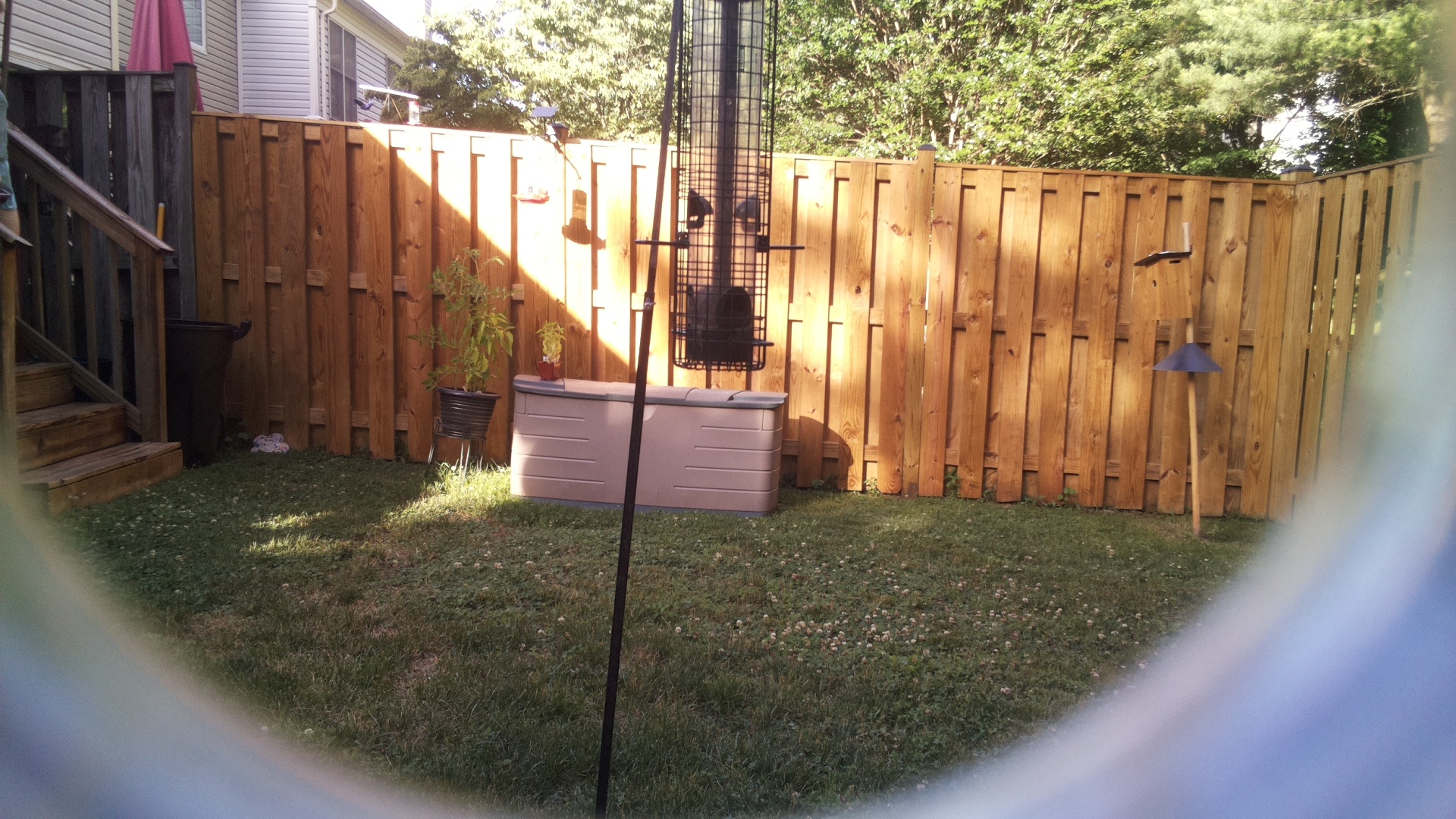 Unknown Bird