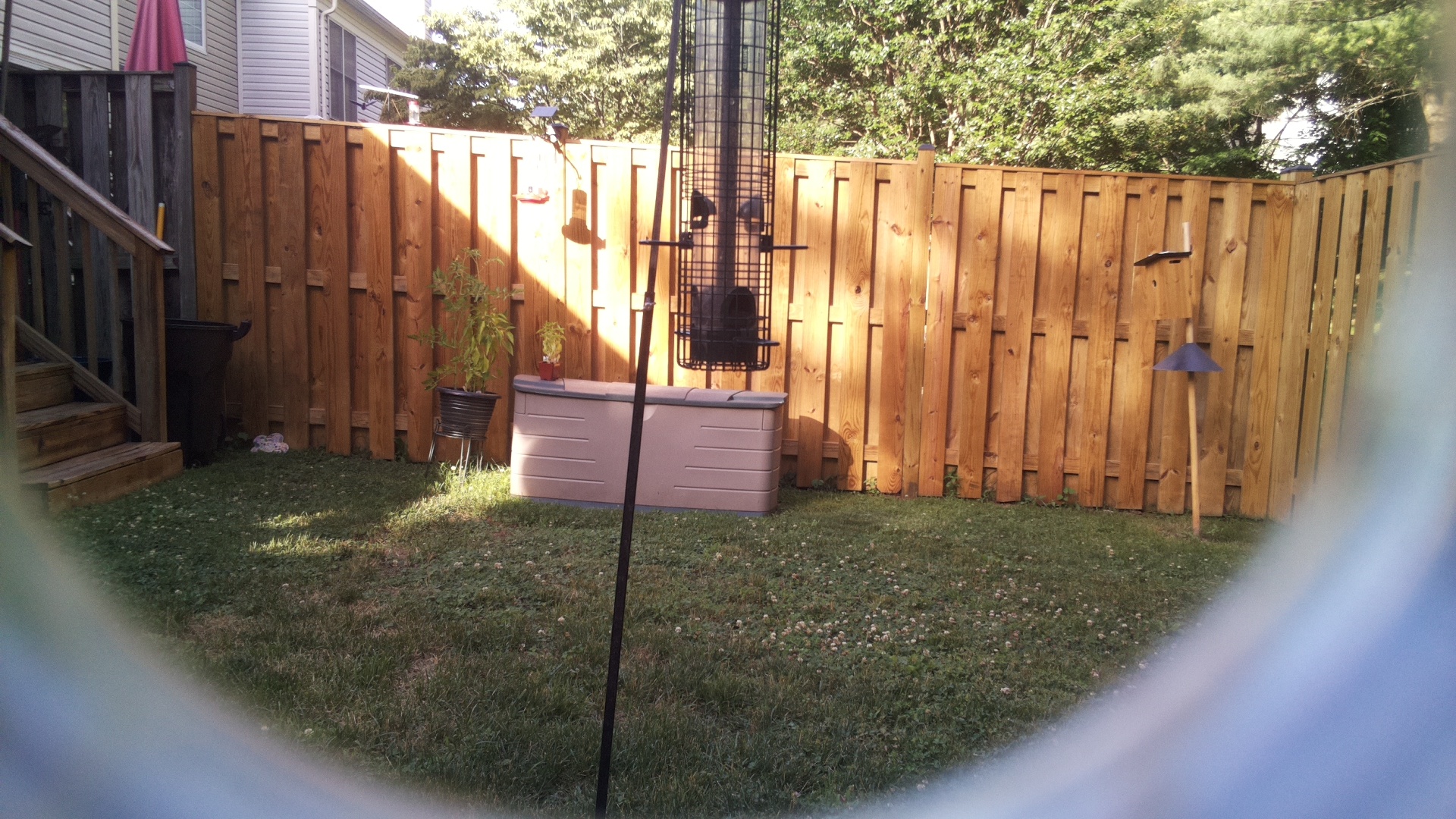 Unknown Bird