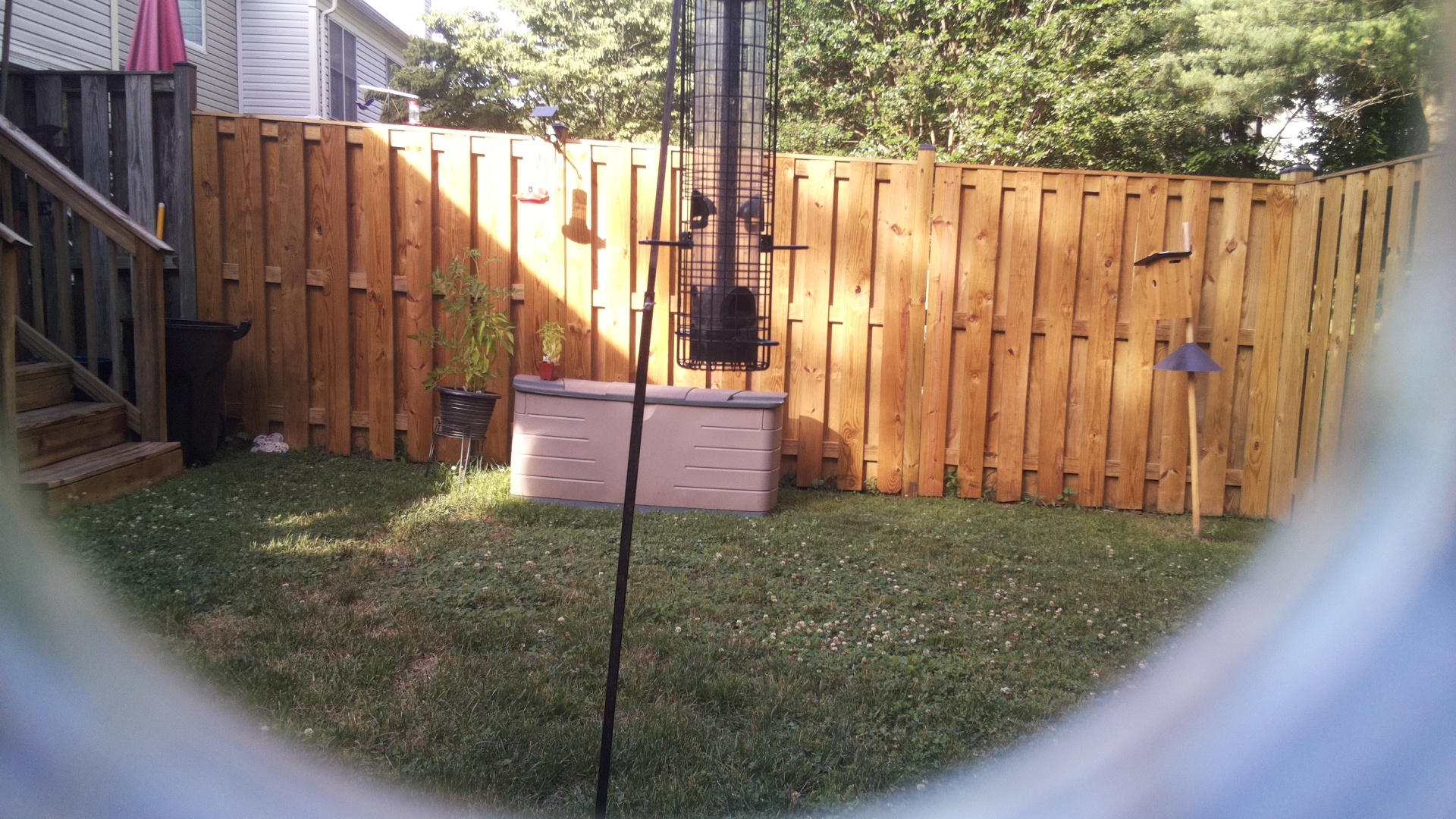 Unknown Bird