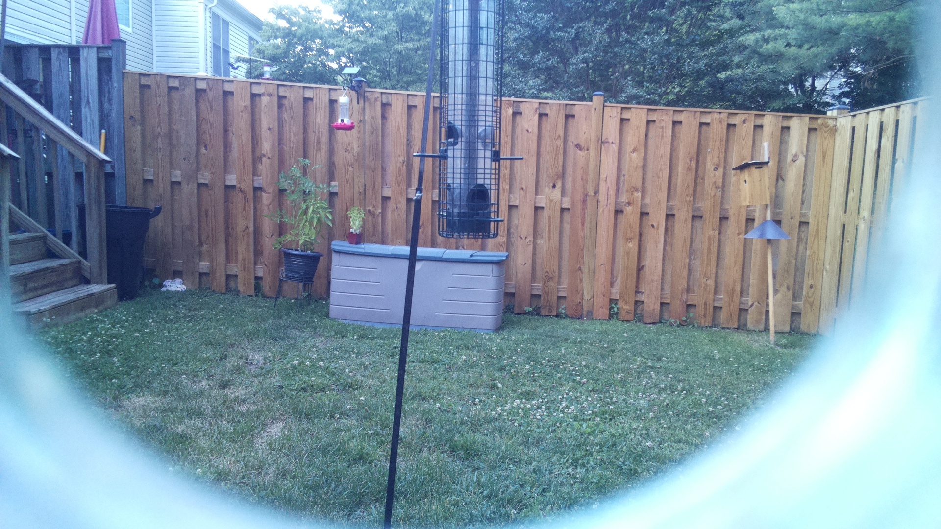 Unknown Bird