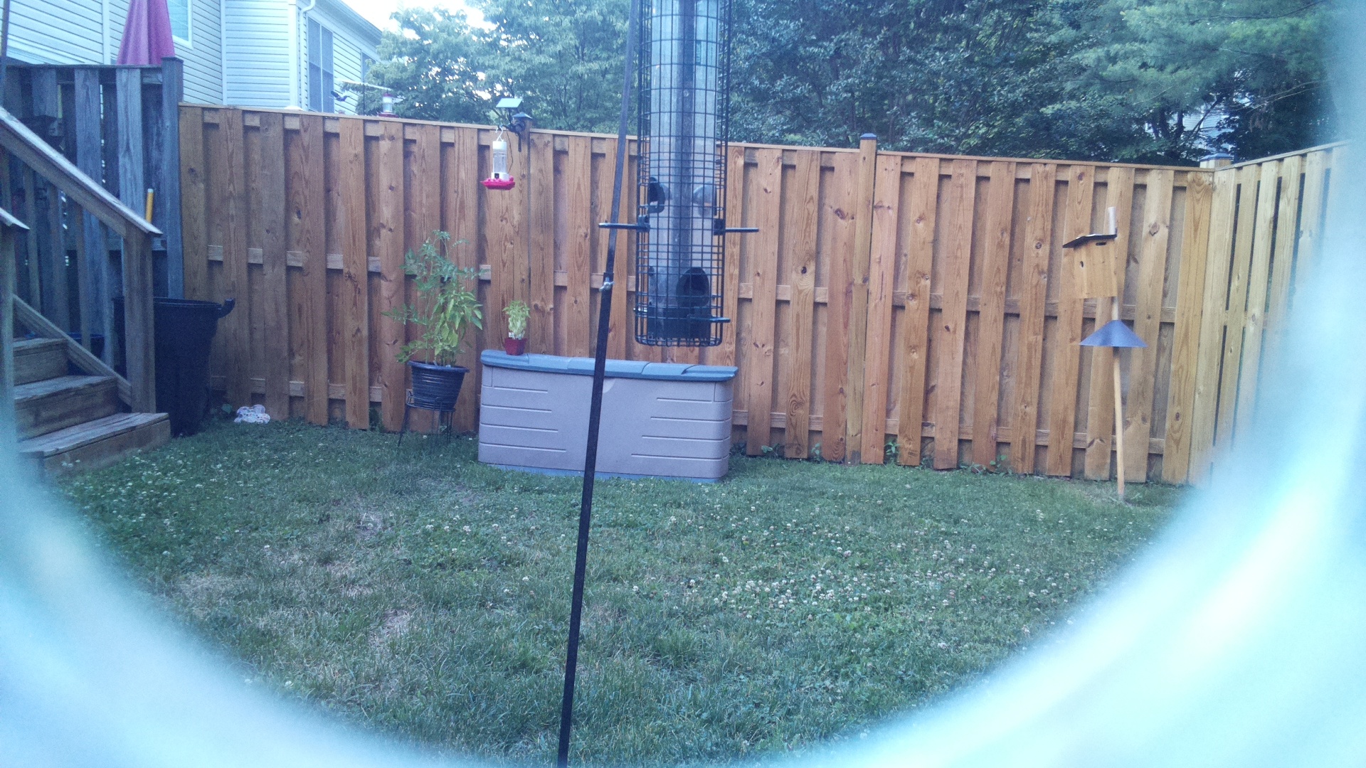 Unknown Bird