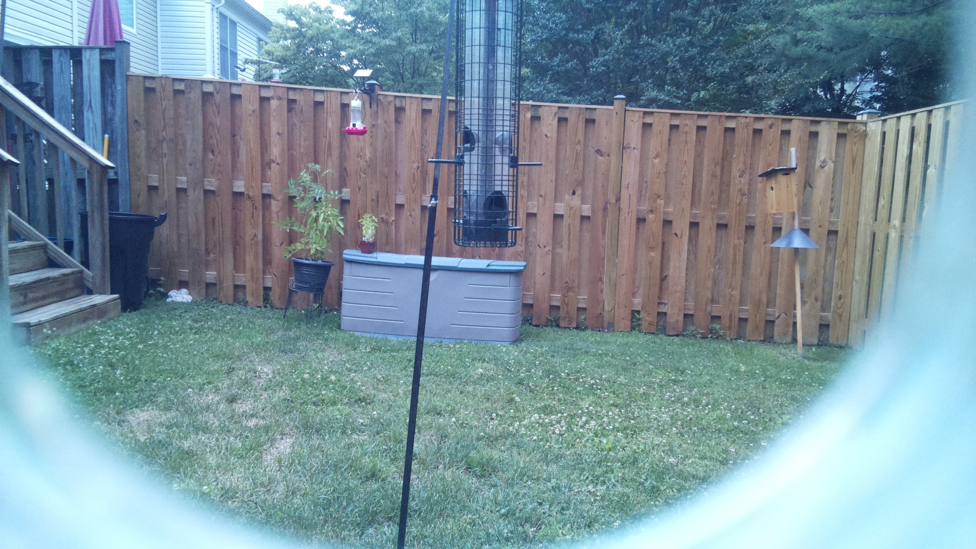 Unknown Bird