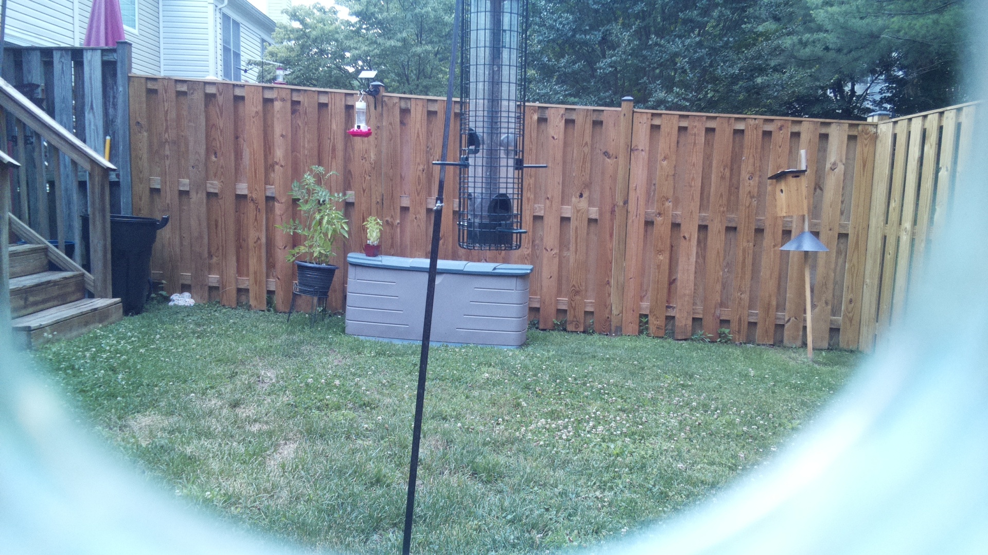 Unknown Bird