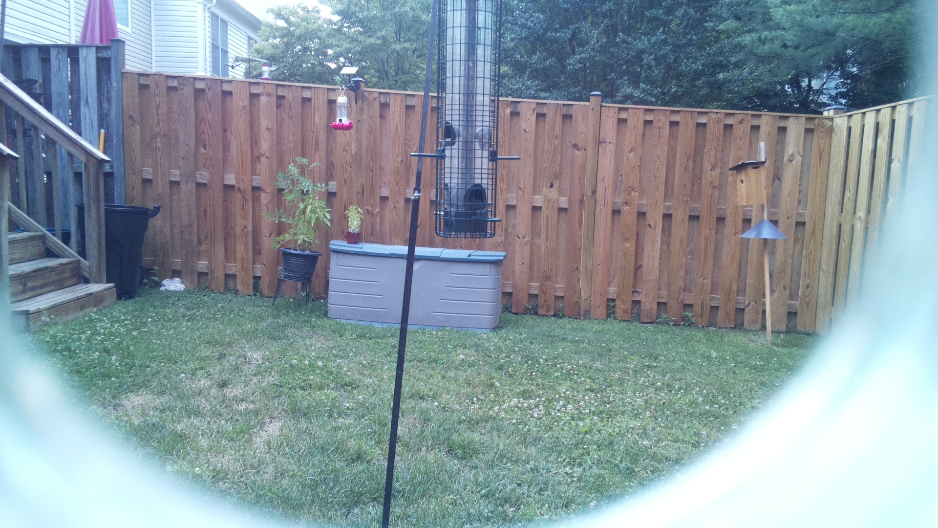 Unknown Bird