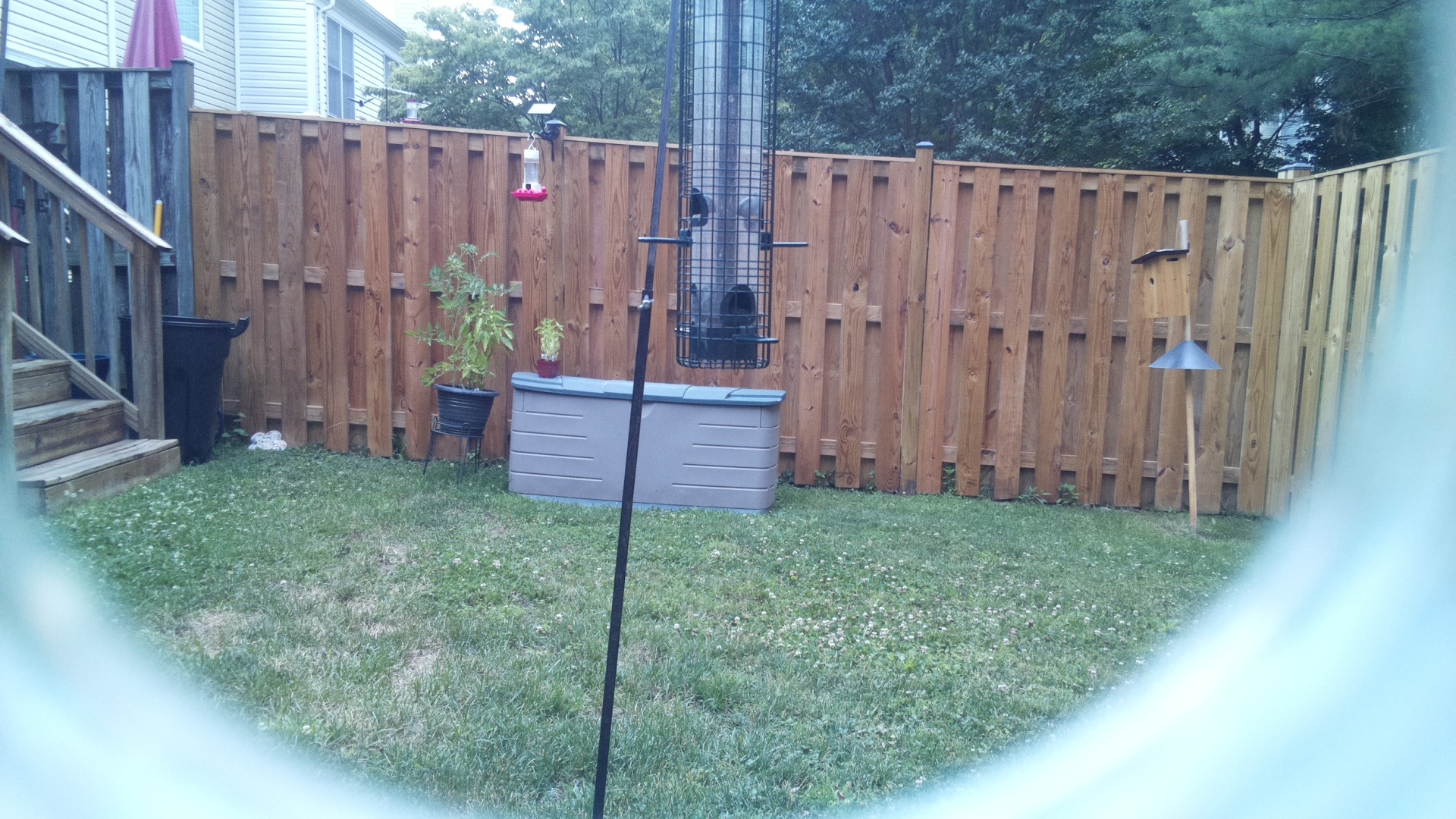 Unknown Bird