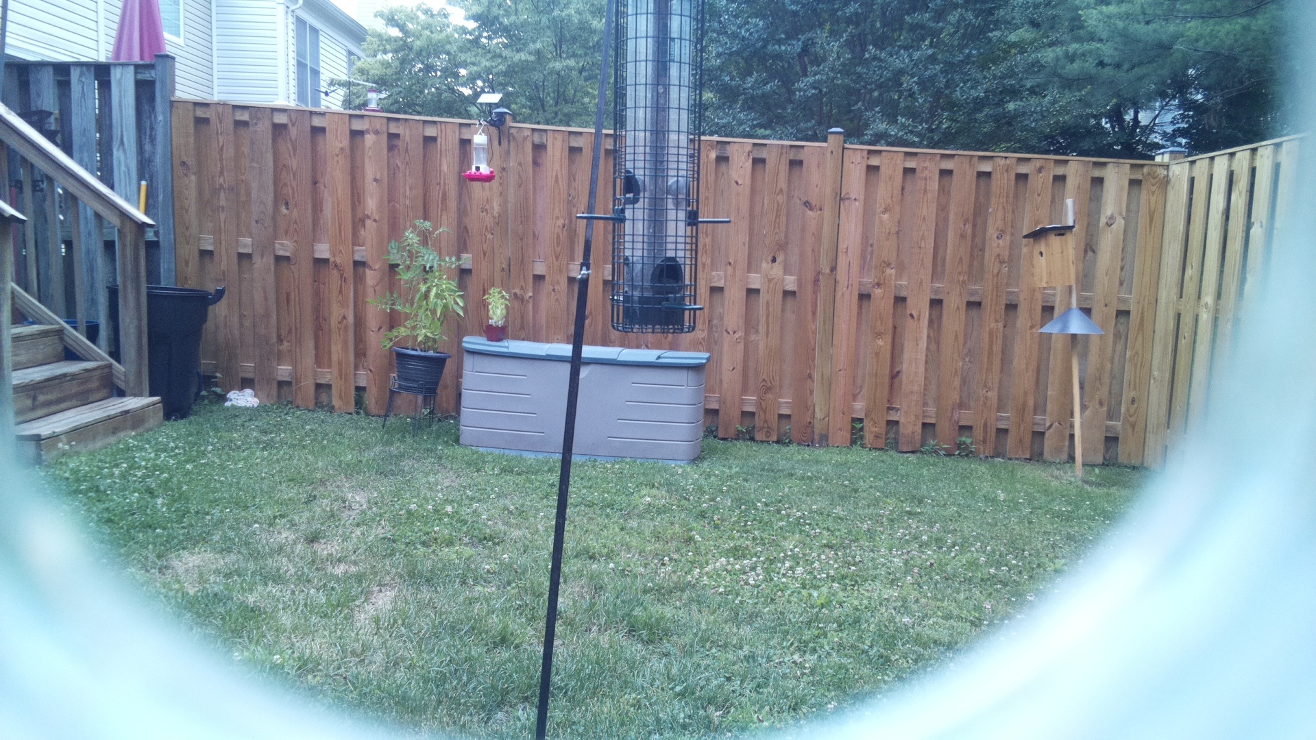 Unknown Bird