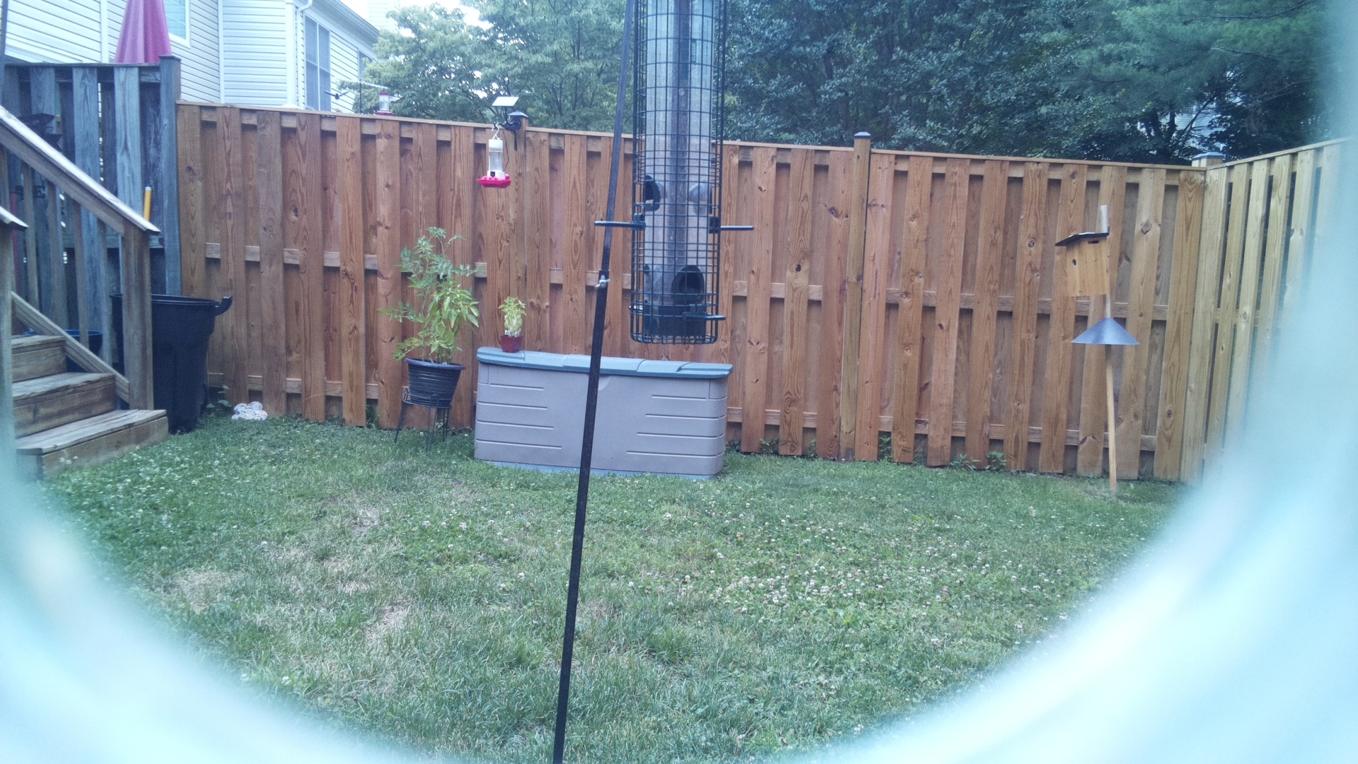 Unknown Bird