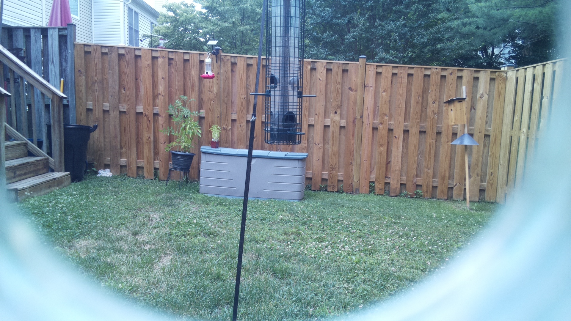 Unknown Bird