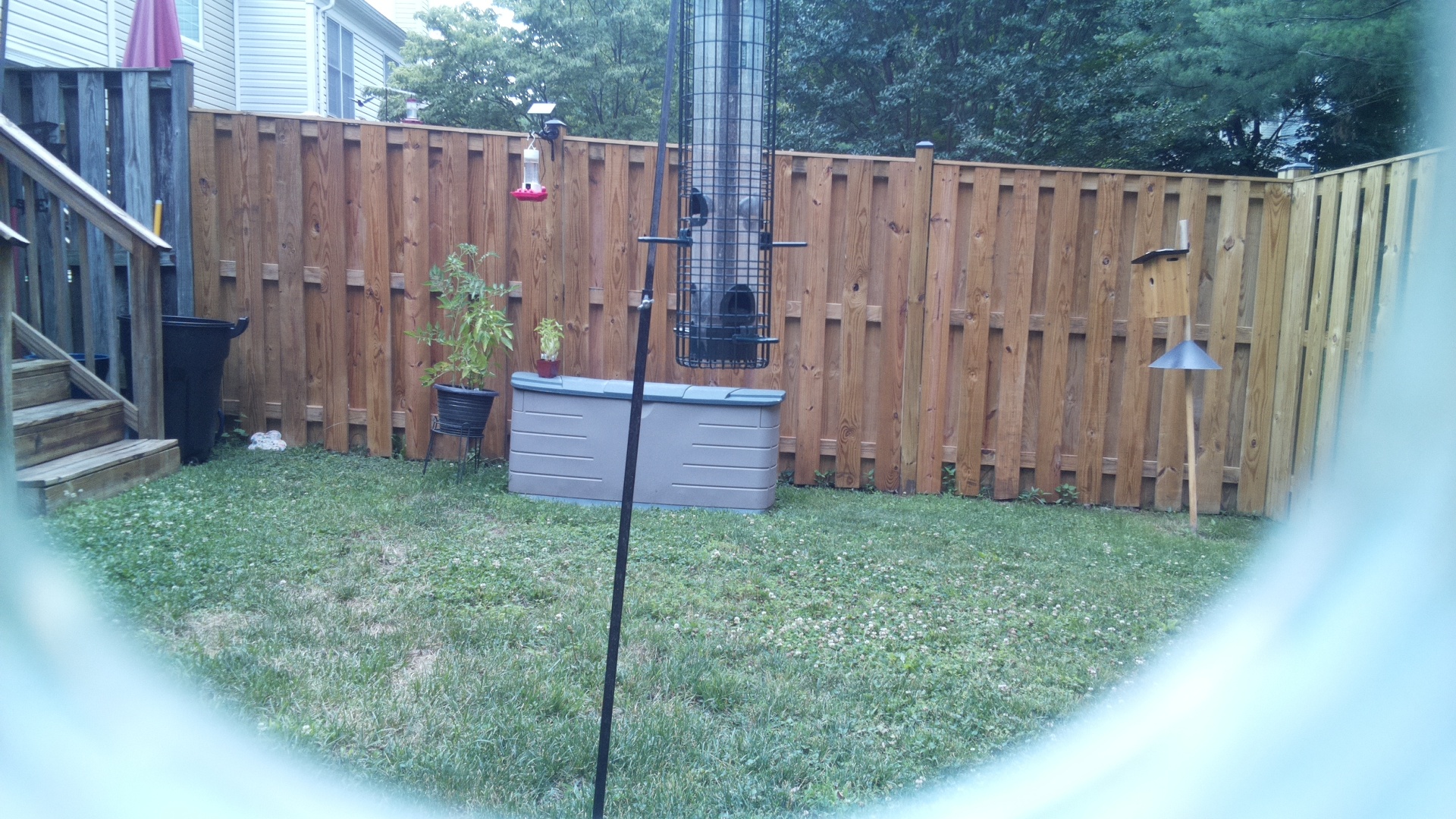 Unknown Bird