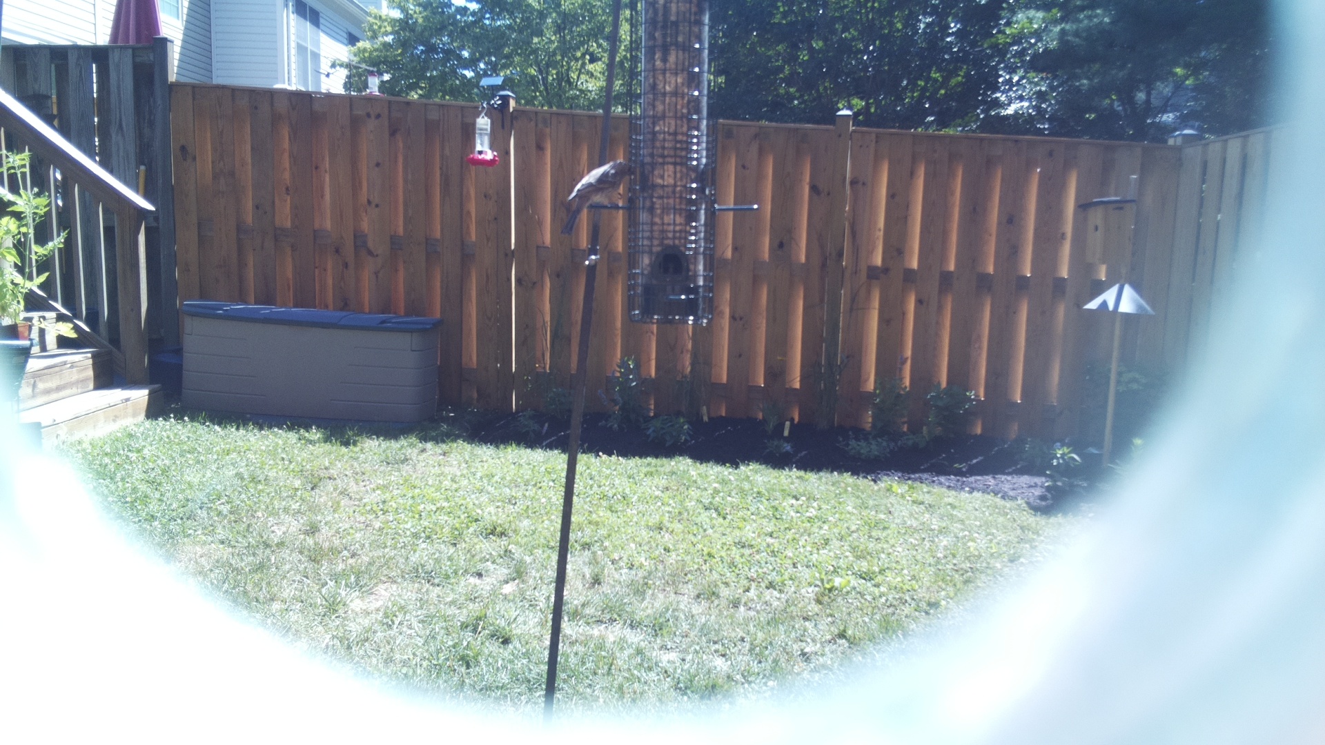 Unknown Bird