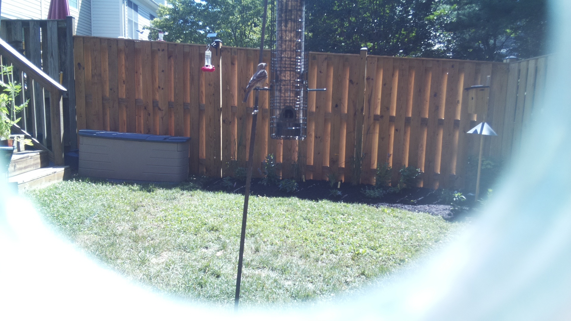 Unknown Bird