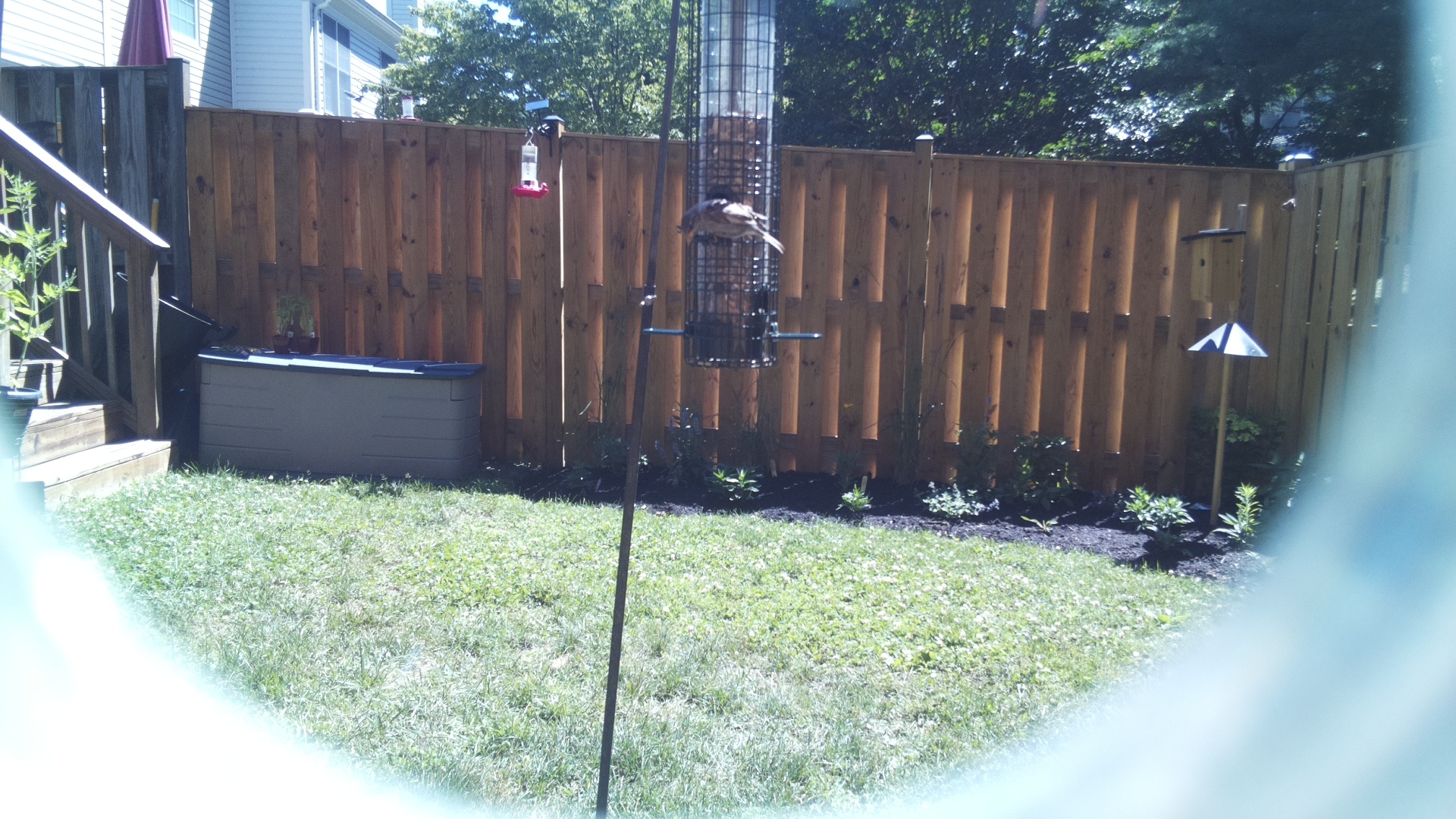 Unknown Bird