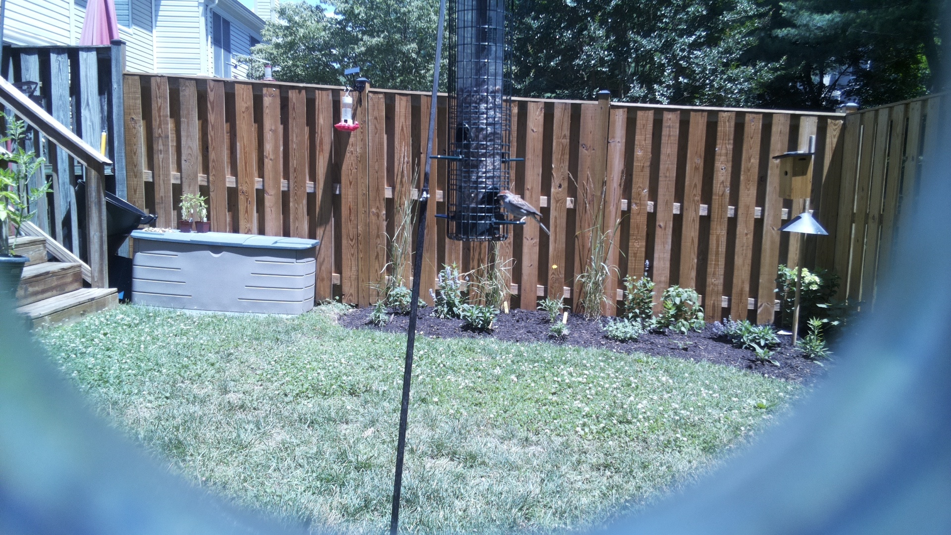 Unknown Bird