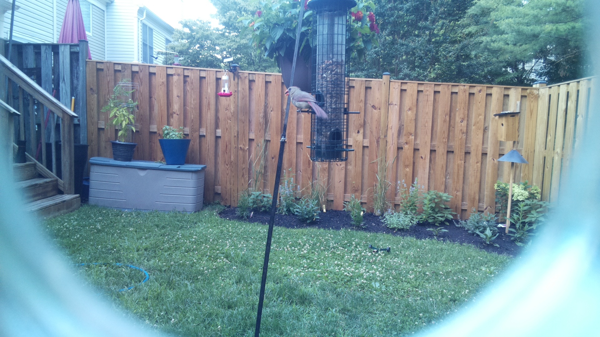 2026-07-03