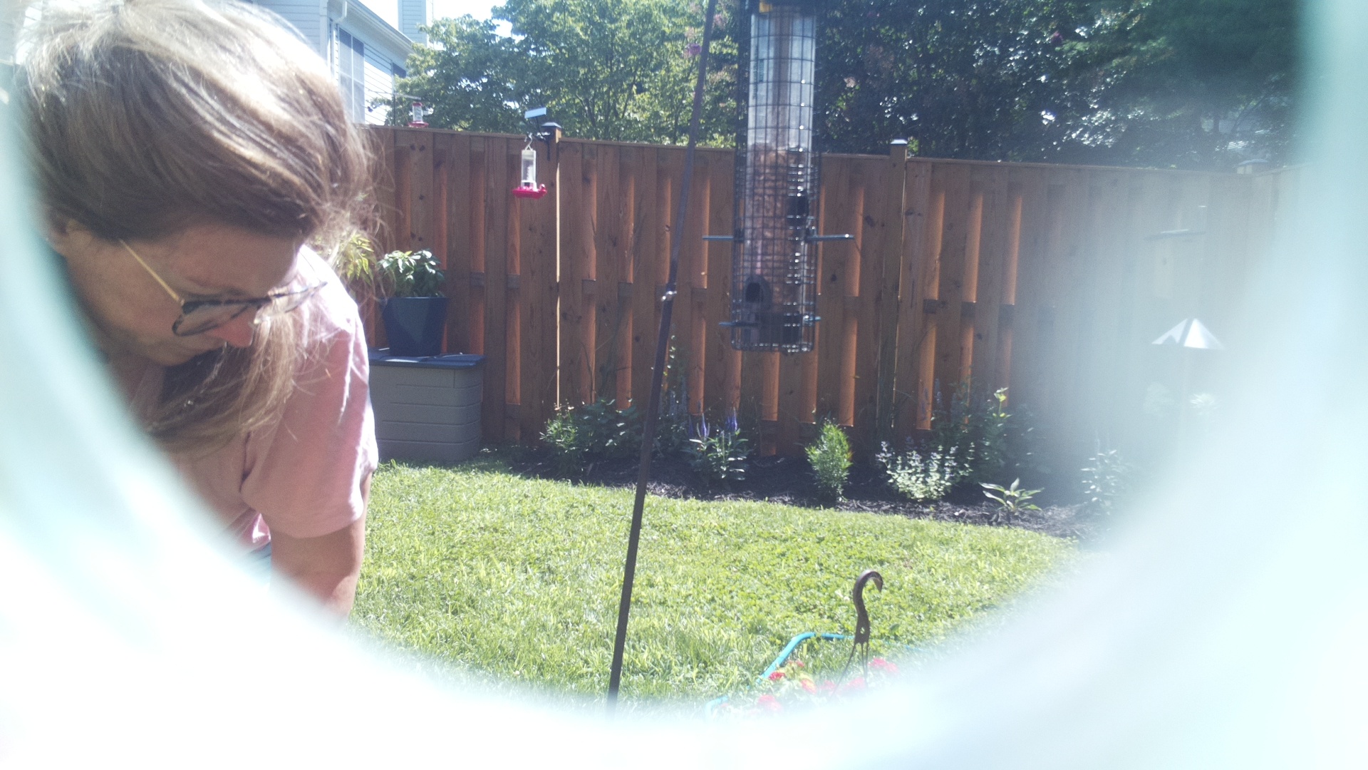 Likely Blackbird/Grackle