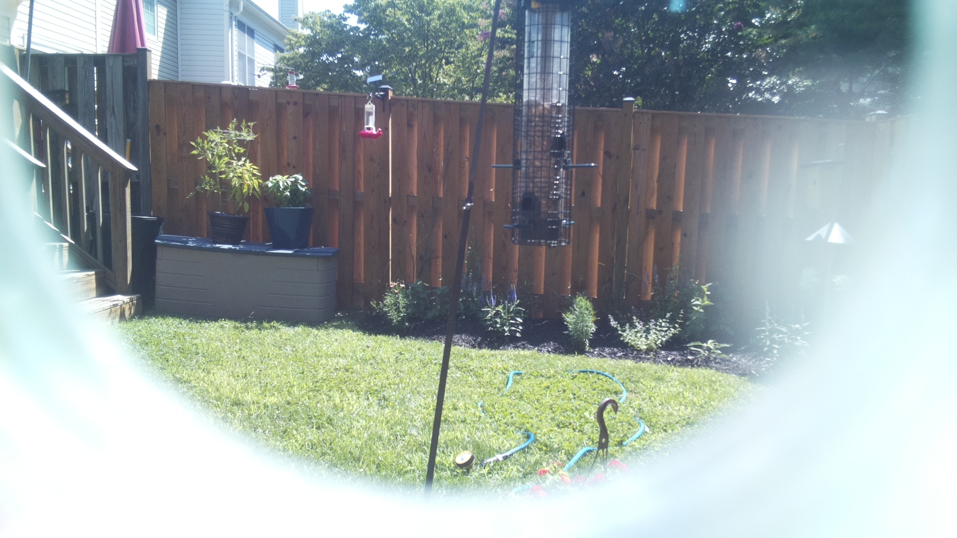 Unknown Bird