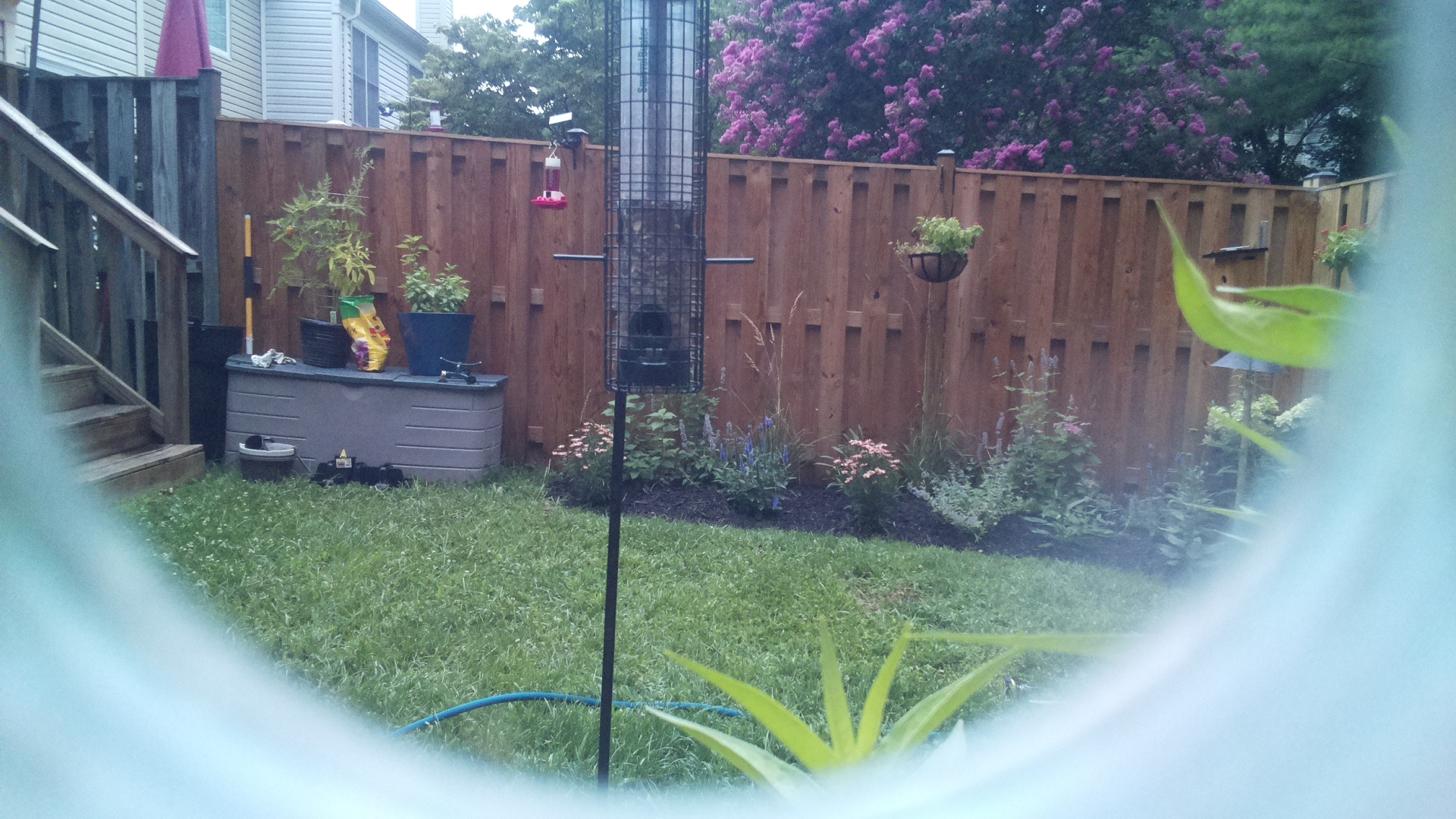 Unknown Bird