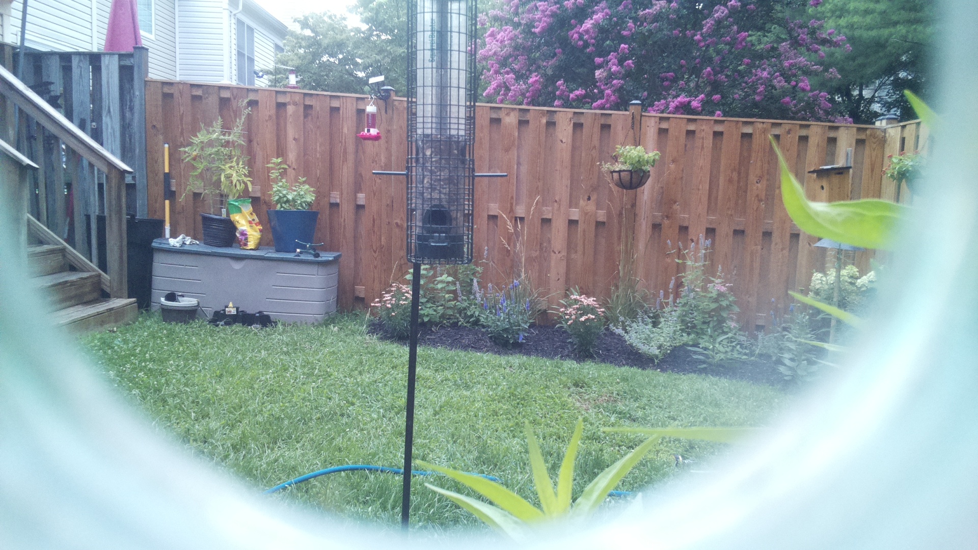 Unknown Bird