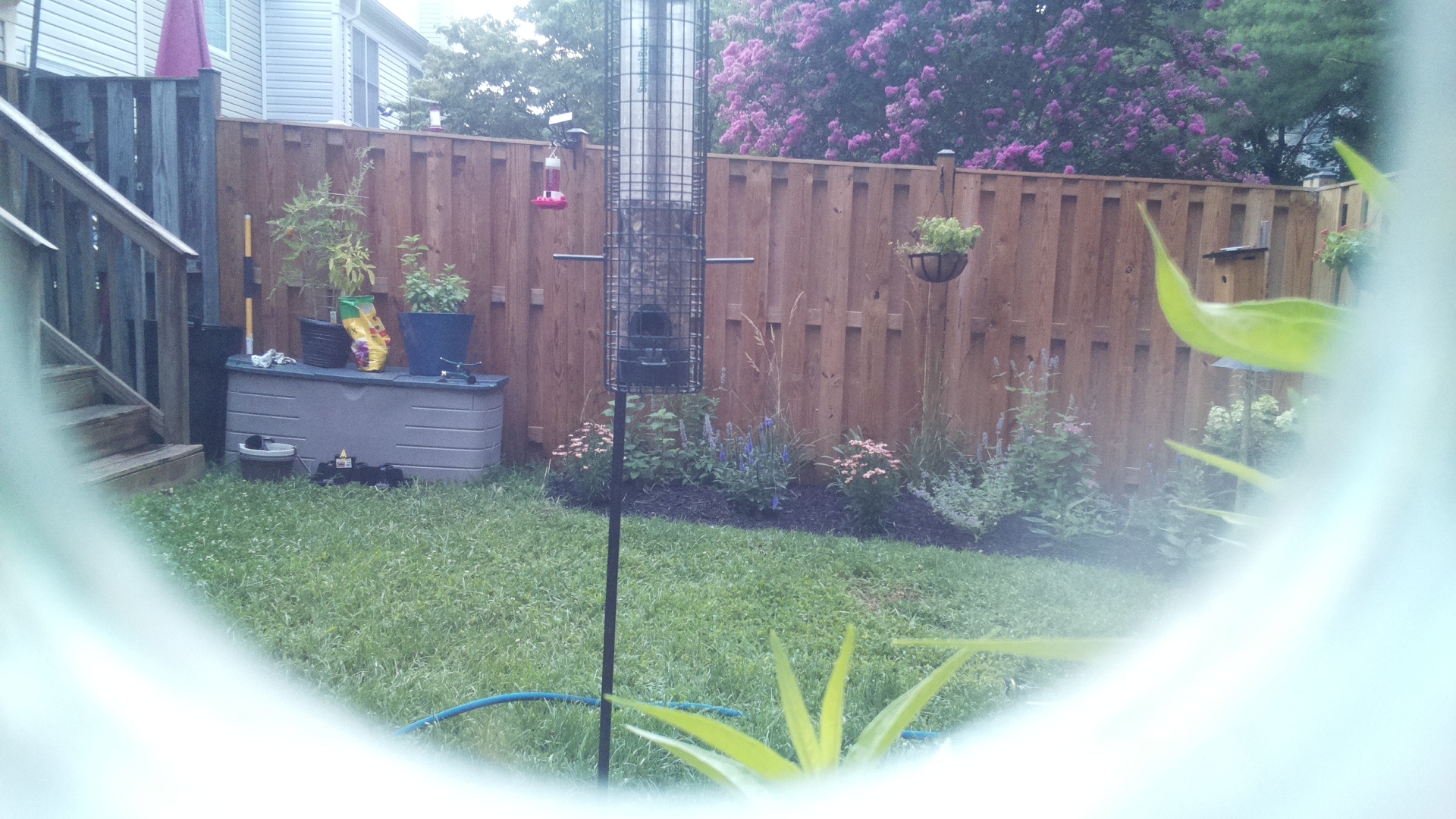 Unknown Bird