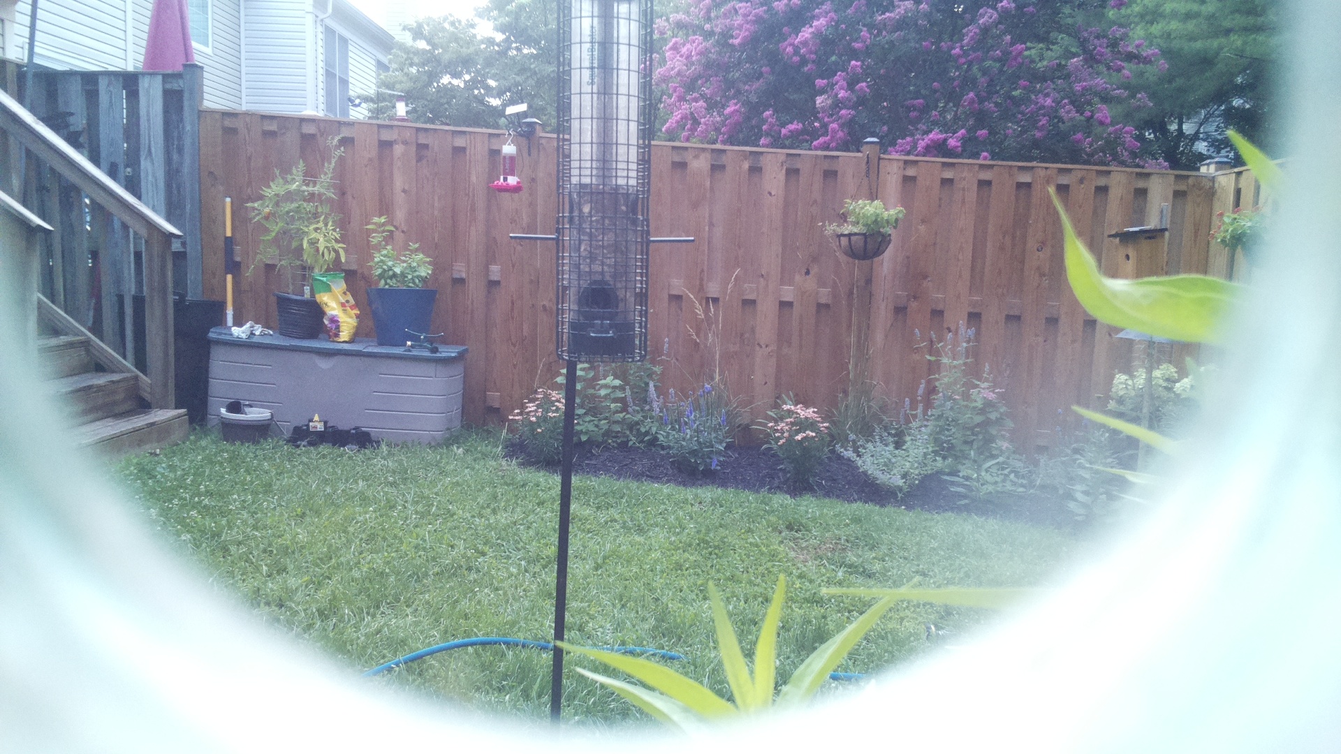 Unknown Bird