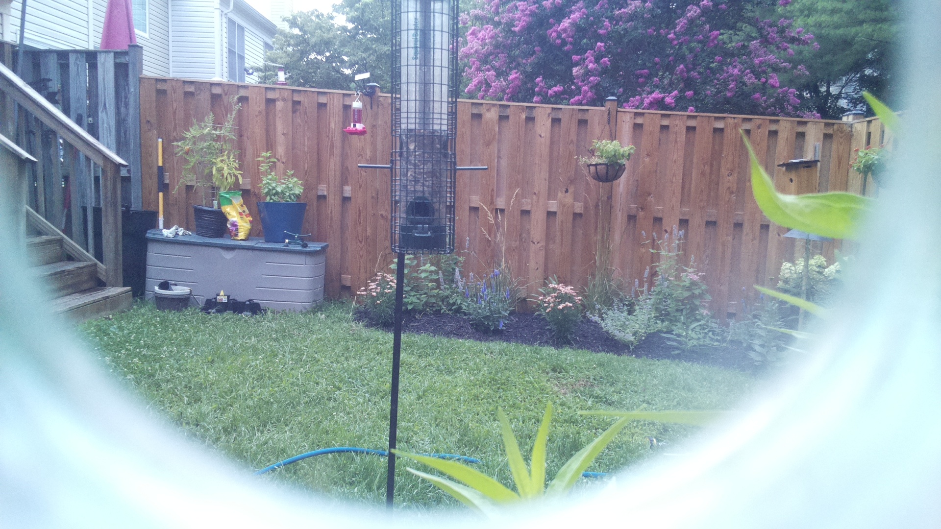 Unknown Bird